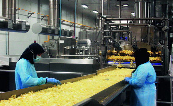 Food Beverage Industry